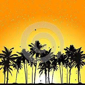 Tropical sunset, palm trees
