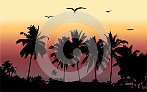 Tropical sunset, palm trees