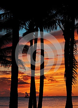 Tropical sunset scene