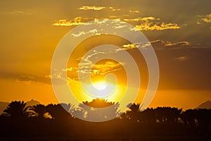 Tropical sunset with silhouette of palm trees, end of hot summer day vacation, golden sky with sun setting over horizon