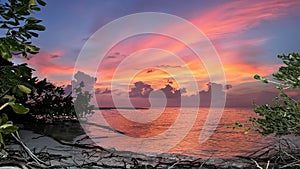 Tropical sunset. The sky is painted in bright colors-pink, orange, yellow. Dark clouds appeared on the horizon