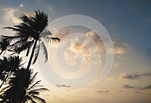Tropical sunset sky