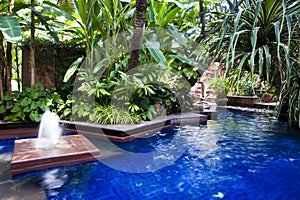 Tropical swimming pool