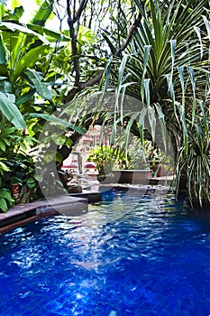 Tropical swimming pool