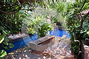 Tropical swimming pool