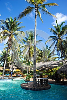 Tropical Swimming Pool