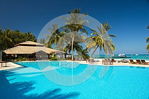 Tropical swimming pool