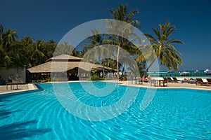 Tropical swimming pool