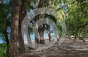 Tropical Takatimu Beach, Rarotonga, Cook Islands