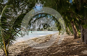 Tropical Takatimu Beach, Rarotonga, Cook Islands