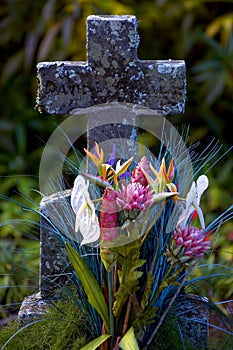 Tropical tombstone