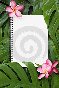 Tropical top view summer botanical concept still life notebook monstera flower flatly layout