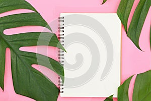 Tropical top view summer botanical concept still life white frame notebook with monstera liana, vine, palm leaves pink background