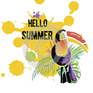 Tropical Toucan bird with grunge elements and ink drops. Wild ex