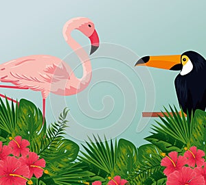tropical toucan and flamish with flowers and leaves photo