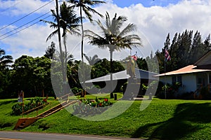 The Tropical Town Hawi on Big Island, Hawaii photo