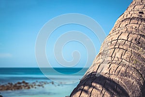 Tropical travel beach holidays background with palm tree trunk on vibrant blue blurred sea backgroud