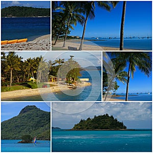 Tropical Travel Montage