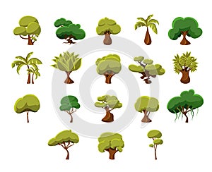 Tropical Trees Collection