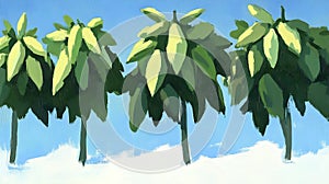 Tropical trees, painted, sunny sky, clouds, illustration