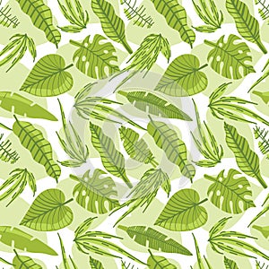 Tropical trendy seamless pattern with exotic palm leaves