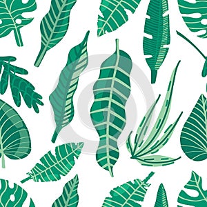 Tropical trendy seamless pattern with exotic palm leaves