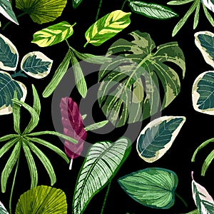 Tropical tropical colorful plants, floral seamless pattern on black background.