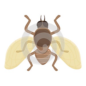 Tropical tsetse fly icon cartoon vector. Nature tik