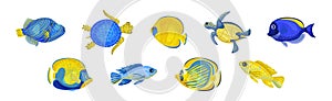 Tropical Turtle Reptile and Fish for Freshwater and Saltwater Aquarium Vector Set