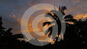 The tropical twilight