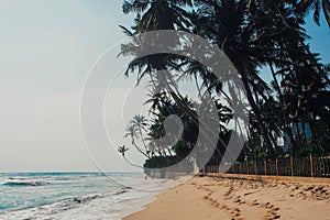 Tropical vacation holiday background - paradise idyllic beach. Sri Lanka