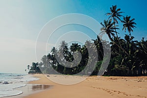 Tropical vacation holiday background - paradise idyllic beach. Sri Lanka