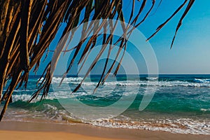 Tropical vacation holiday background - paradise idyllic beach. Sri Lanka