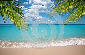 Tropicale vacanza Paradiso bianco sabbioso spiagge un oscillante Palma alberi 