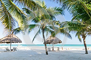 Tropical vacation view with palm trees at exotic sandy beach on Caribbean sea