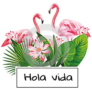 Tropical vector composition hola vida slogan pink flamingo flowers leaves white background