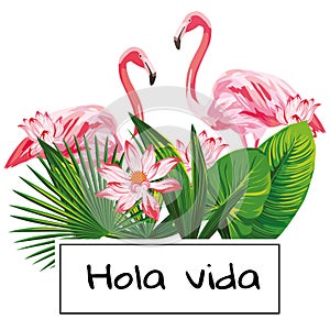 Tropical vector composition hola vida slogan pink flamingo flowers leaves white background photo