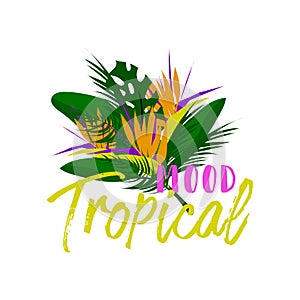 Tropical vector floral collage