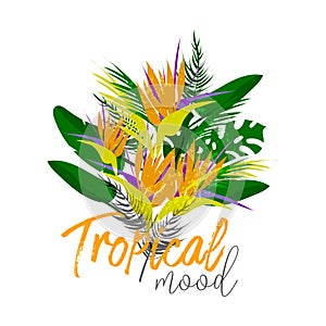 Tropical vector floral collage