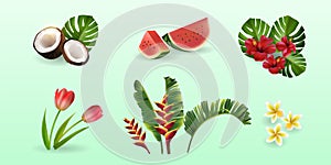 Tropical vector flowers and leaves. Summer Set of realistic plants with floral illustration. Watermelon, coconut, banana
