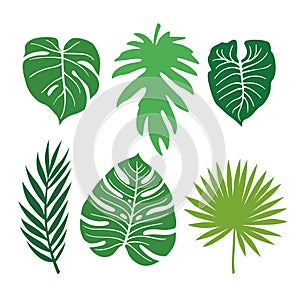 Tropical vector green leaves pattern. Exotic wallpaper. Summer design.
