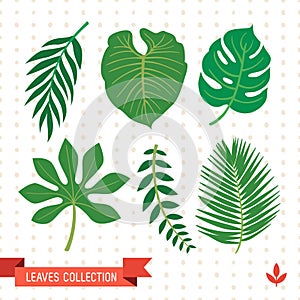 Tropical vector green leaves pattern. Exotic wallpaper. Summer design.