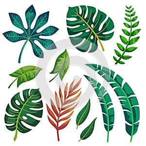 Tropical vector green leaves pattern. Exotic wallpaper. Summer design.