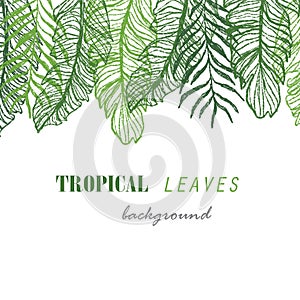 Tropical vector green leaves pattern white background