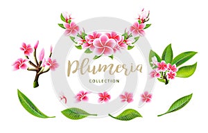 Tropical vector pink plumeria flowers, branches and leaves set for floral card photo