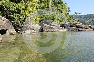 Tropical vegetation along a river with several rocks. Itamambuca beach