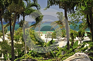 Tropical vegetation and beach