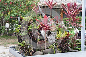 Tropical vegetation of Beachcomber island in the Fiji archipelago in the Pacific ocean