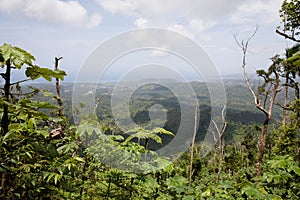 Tropical Vegetation and Distant Atlantic Ocean in Baracoa, Cuba