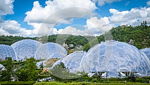 Tropical vegetation in the Eden Project, Corwnall